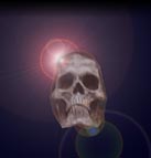 Skull Graphic