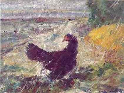 Pnature.jpg (19112 bytes)