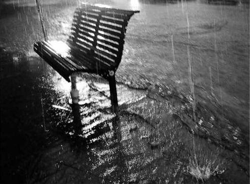 the bench
