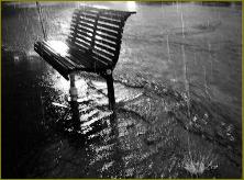 Click "the bench"
