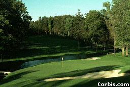 Detailed Local Courses Information