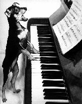 pianista