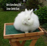 Best OF breed