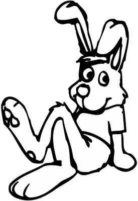 web bunny