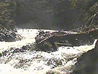 Carp River Falls, exit