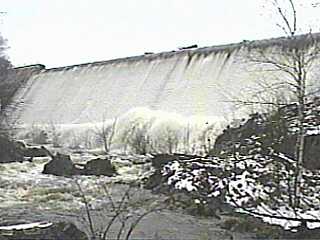 Dead Falls