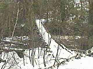 Dead Falls