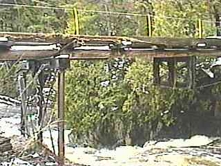 Dead Falls
