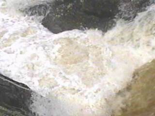 Dead Falls