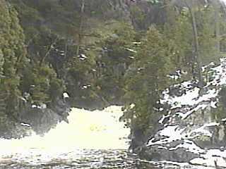 Dead Falls