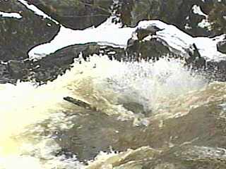 Dead Falls