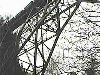 Dead Falls