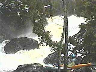Dead Falls