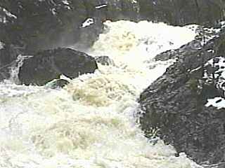 Dead Falls