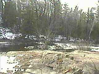 Dead Falls