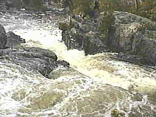 Dead Falls