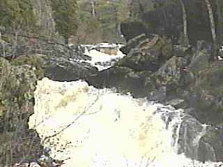 Dead Falls