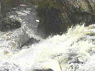 Dead Falls