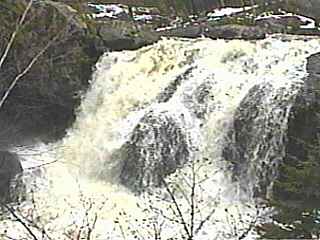 Dead Falls