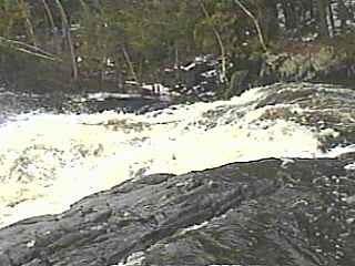 Dead Falls