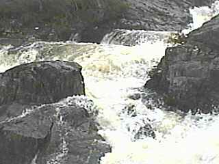 Dead Falls