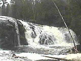 Dead Falls