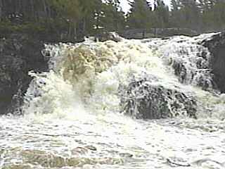 Dead Falls