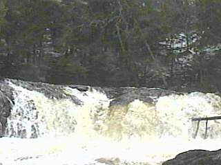 Dead Falls
