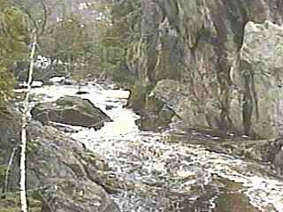 Dead Falls