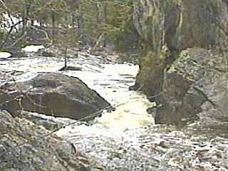 Dead Falls
