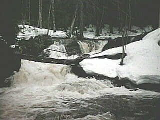 Grungy Falls