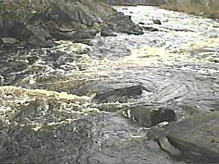 second rapids