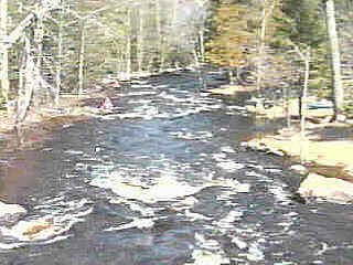 Put-in rapids
