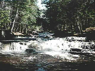 typical early ledges