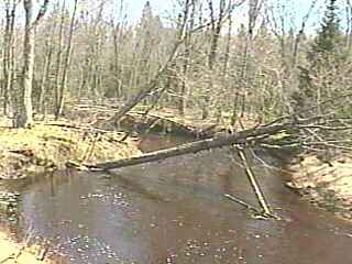 looking downstream at put-in