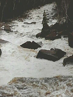 rock garden doldrums