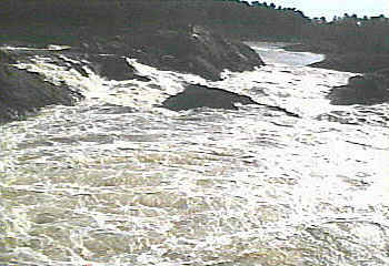 View_downstream