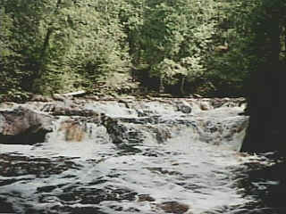 lead-in rapids