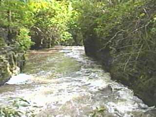 the Dells
