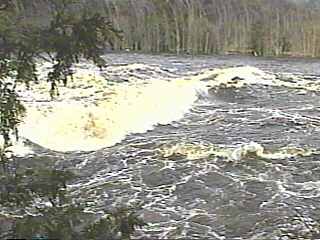 Piers Gorge 