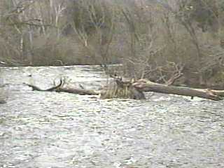 Lime Kiln Park right channel