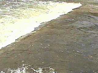 Waubeka Wave