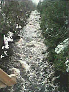 Rock Cut Falls upstream of bridge