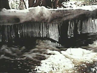 ice 'chandelier' on early spring run