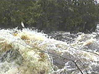 Michigan Rapids