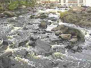 rubble between dam and falls