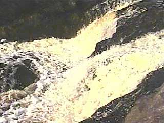 second pitch, lower ledge