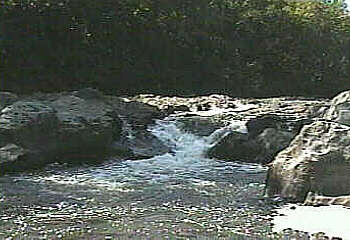 Rib Falls (about 5' drop)
