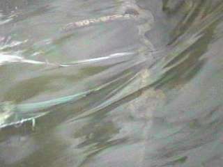Sauk Creek, rebar