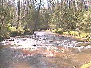 beginning bedrock slides
